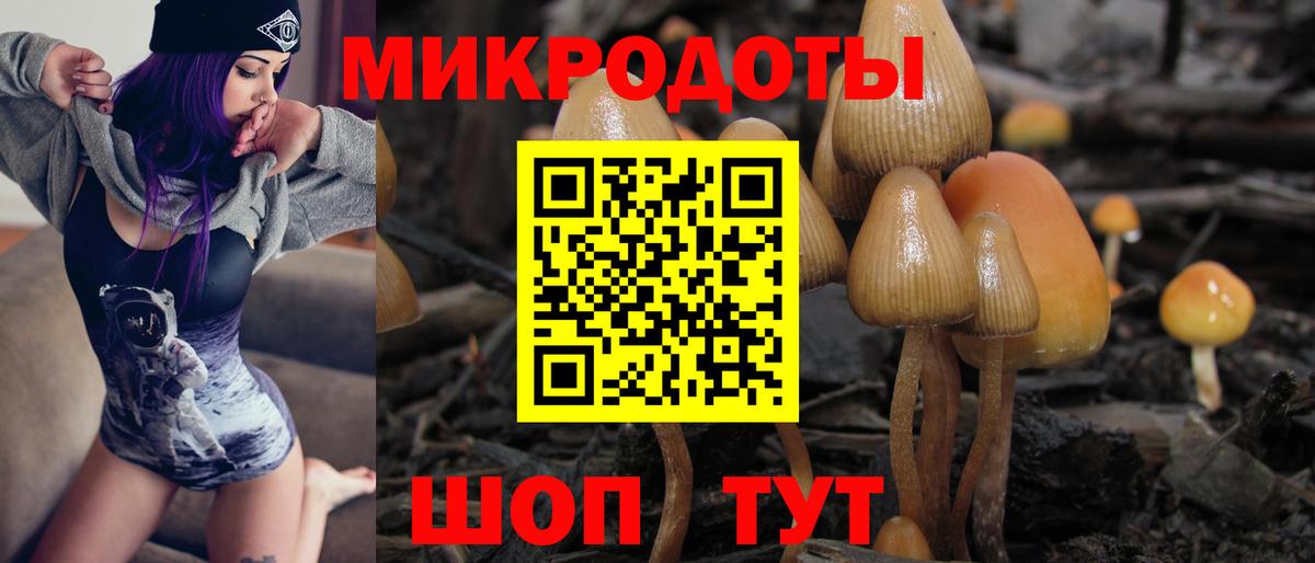 Галлюциногенные грибы Magic Shrooms  как найти закладки  Вход с VPN  Димитровград  Галлюциногенные грибы Psilocybine cubensis 