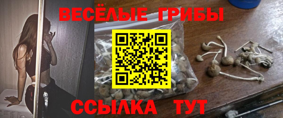 Псилоцибиновые грибы Psilocybine cubensis Димитровград